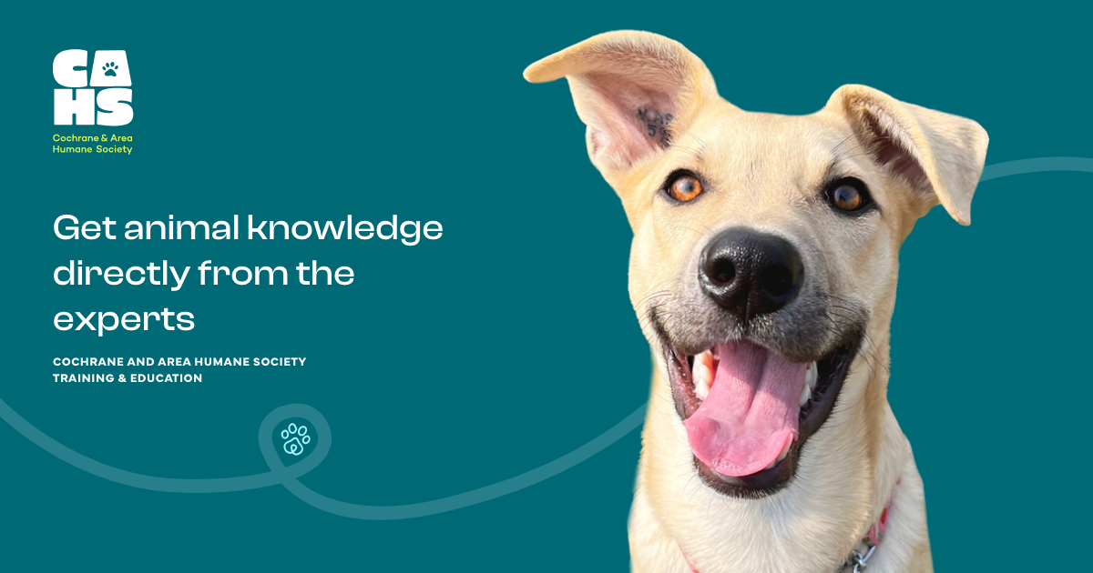 Training & Education Cochrane & Area Humane Society